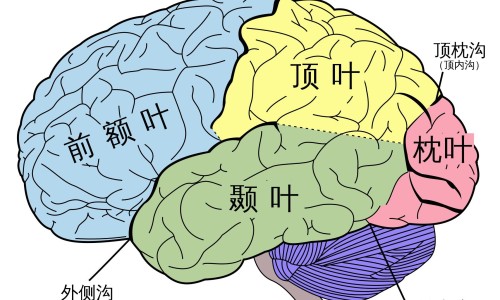 艾滋病身上刺挠吗-艾滋病身上一抓会起网 - 为你提供艾滋病的皮肤会不会挠一下就红、艾滋病会不会一抓就起疙瘩